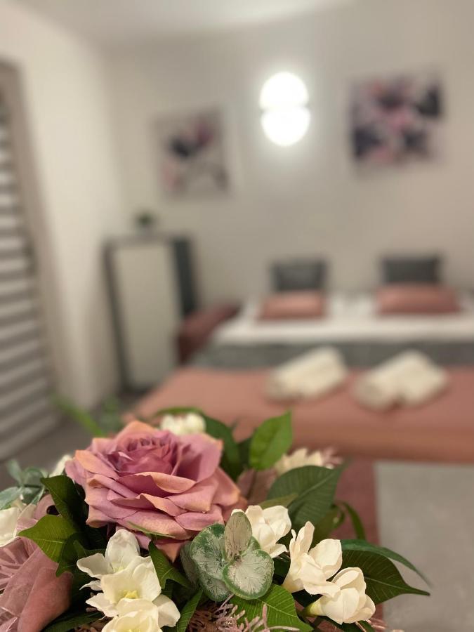 Apartman Stipancic Labin  Esterno foto